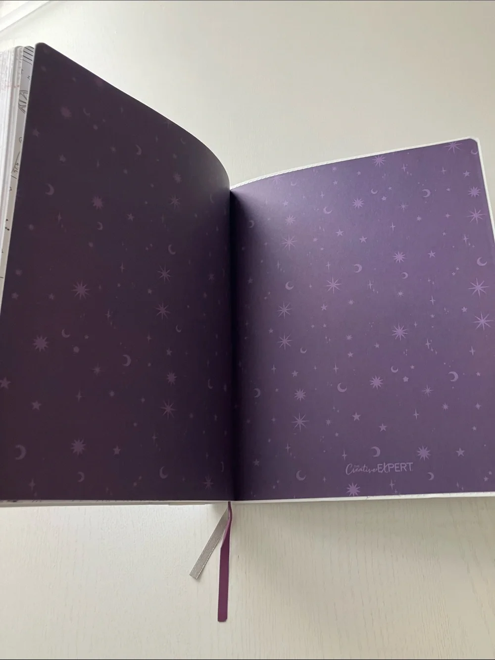 The Creative Expert 17 Month Planner -  (August 2026-December 2027) NWT
